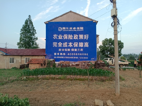 遵义墙体广告的优劣势你知道吗？